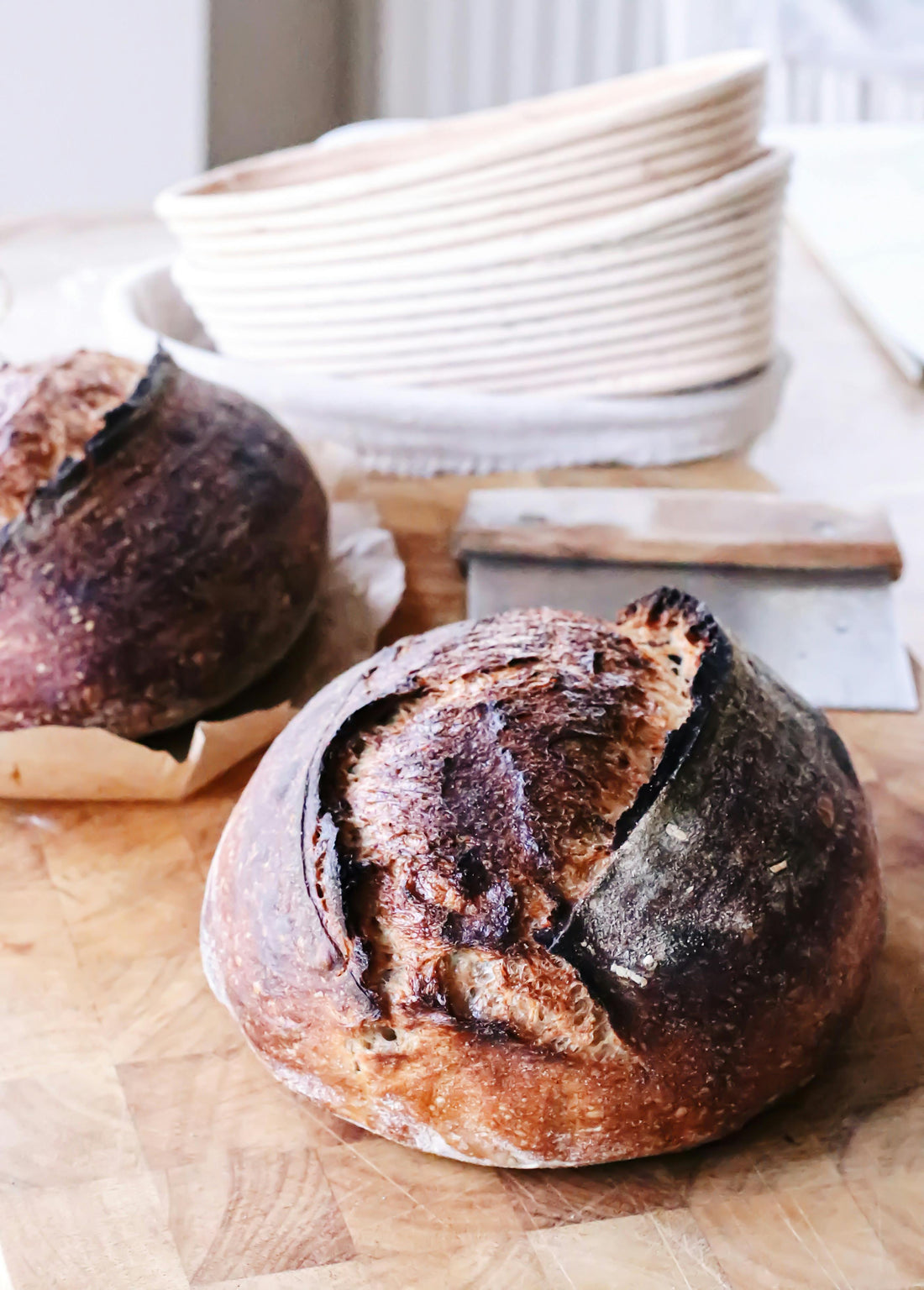 The Art of Sourdough: A Beginner's Guide