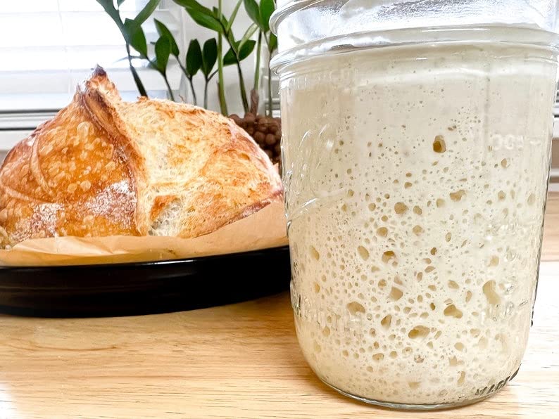 Tenby - 900-Year-Old Heritage Blend: Authentic Organic Sourdough Starter Yeast Culture - Rooted in Dutch/Welsh Tradition