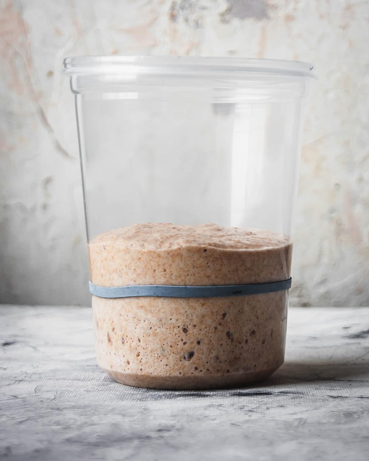 Lübeck 400 Year-Old History "BLACK DEATH" Sourdough Starter. ACTIVE FRESH SOUR Yeast Culture