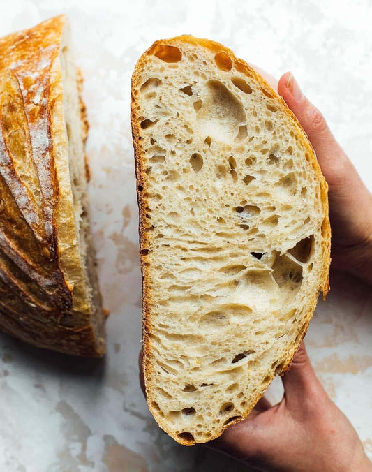 Tenby - 900-Year-Old Heritage Blend: Authentic Organic Sourdough Starter Yeast Culture - Rooted in Dutch/Welsh Tradition